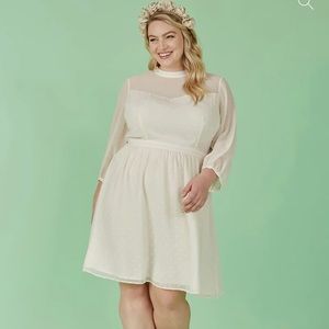 Sheerly Blessed in Bliss Fit and Flare Dress